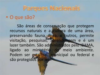 Parques NacionaisO que são? São áreas de conservação que protegem recursos naturais e a cultura de uma área, preservando fauna, flora, e outros, permite visitação, pesquisas, aprendizagem e é um lazer também. São administrados pelo IBAMA, ligado ao ministério do meio ambiente. Podem ser estadual, municipal ou federal e são protegidos por lei. 