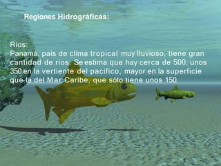 Regiones Hidrográficas:
Los ríos panameños constituyen una fuente de riqueza
todavía no aprovechada, salvo contadas excepc...