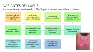 VARIANTES DEL LUPUS:
Lupus eritematoso discoide (LED)/ lupus eritematoso cutáneo crónico
cambios cutáneos
con o sin afección
sistémica.
Las lesiones
comienzan como
placas eritematosas
progresan a
cicatrices atróficas.
Se agrupan en
áreas de la piel
expuestas a la luz
rostro, cuero
cabelludo y orejas.
Sin tratamiento, las
lesiones se
extienden
presentan atrofia y
cicatrización
centrales.
alopecia cicatrizal
generalizada.
La afección mucosa
puede ser
importante, en
especial en la boca.
las lesiones
hipertróficas
similares al liquen
plano
(llamado lupus
verrugoso o
hipertrófico).
 