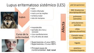 Afecta
piel (erupciones)
SNC (trastornos
neuropsiquiátricos)
pulmones
(serositis)
articulaciones
(artritis)
riñón
(glomerulonefritis)
Corazón vasos
sanguíneos
hígado
anemia y
trombocitopenia
Lupus eritematoso sistémico (LES)
Lupus
• latín
• rostro infamado
• nariz y en las mejillas
• eritema malar
• alas de mariposa.
Curso de la
enfermedad
• impredecible
• períodos de crisis y
remisión
• 1ras manifestaciones
• 15 y 45 años de edad.
 