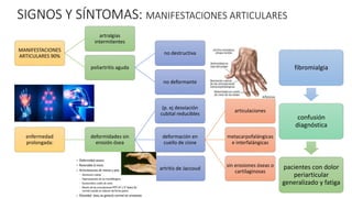 SIGNOS Y SÍNTOMAS: MANIFESTACIONES ARTICULARES
MANIFESTACIONES
ARTICULARES 90%
artralgias
intermitentes
poliartritis aguda
no destructiva
no deformante
enfermedad
prolongada:
deformidades sin
erosión ósea
(p. ej desviación
cubital reducibles
deformación en
cuello de cisne
articulaciones
metacarpofalángicas
e interfalángicas
sin erosiones óseas o
cartilaginosas
artritis de Jaccoud
fibromialgia
confusión
diagnóstica
pacientes con dolor
periarticular
generalizado y fatiga
 