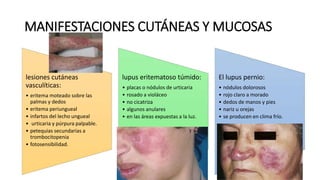 MANIFESTACIONES CUTÁNEAS Y MUCOSAS
lesiones cutáneas
vasculíticas:
• eritema moteado sobre las
palmas y dedos
• eritema periungueal
• infartos del lecho ungueal
• urticaria y púrpura palpable.
• petequias secundarias a
trombocitopenia
• fotosensibilidad.
lupus eritematoso túmido:
• placas o nódulos de urticaria
• rosado a violáceo
• no cicatriza
• algunos anulares
• en las áreas expuestas a la luz.
El lupus pernio:
• nódulos dolorosos
• rojo claro a morado
• dedos de manos y pies
• nariz u orejas
• se producen en clima frío.
 