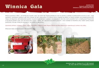 -
- 30 -
Winnica Gala
Jarosław Gala
Przemyśl, powiat przemyski
Założona w 2005, powierzchnia 0,35 ha
Jarosław Gala, ul. Tuwima 2/2, 37-700 Przemyśl
tel. kom. 606 96 27 83, jarekga@poczta.fm
Winnica powstała w 2005 r., od tamtej pory wszystko „kręci” się wokół niej. Poprzez poświęcony czas na uprawę, a później na przetworzenie owoców w wino - czuję
spełnienie i satysfakcję, zwłaszcza, gdy wino smakuje nie tylko właścicielowi. Na terenie winnicy znajduje się szkółka na własne potrzeby oraz przygotowywane jest
miejsce do degustacji. Jeśli nasze prawo pozwoli, na pewno będę się starał uzyskiwać najwyższej jakości wina dla uciechy wszystkich tych, co będą go pili. Przypomniał
mi się jeszcze pewien cytat: „Kto nie kocha wina, kobiety i śpiewu, ten całe życie pozostanie głupcem”, mam nadzieje że miłośników wina, kobiet i śpiewu będzie
przybywało, tak więc mówię do zobaczenia - być może w mojej winnicy.
Uprawiane odmiany: Jutrzenka, Muskat, Aurora, Seyval Blanc, Hibernal, Solaris, Regent, Rondo oraz kilka deserowych i przerobowych odmian vitis vinifery.
Właściciel należy do Stowarzyszenia Winnice Doliny Sanu.
 