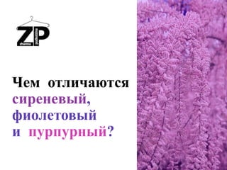 Чем отличаются
сиреневый,
фиолетовый
и пурпурный?
 