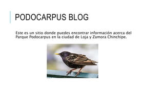 PODOCARPUS BLOG
Este es un sitio donde puedes encontrar información acerca del
Parque Podocarpus en la ciudad de Loja y Zamora Chinchipe.
 