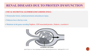 Podocyte mediated kidney diseases(diabetic nephropathy) | PPTX