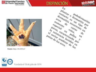 Pododermatitis aviar | PPTX