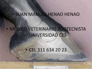 • JUAN MANUEL HENAO HENAO
• MÉDICO VETERINARIO ZOOTECNISTA
UNIVERSIDAD CES
• CEL 311 634 20 23
 