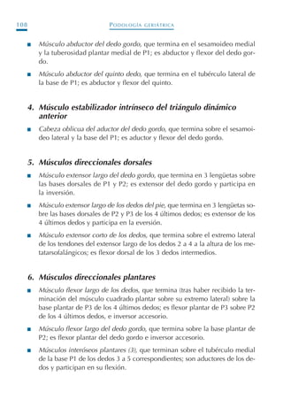 PODOLOGÍA GERIÁTRICA108
I Músculo abductor del dedo gordo, que termina en el sesamoideo medial
y la tuberosidad plantar medial de P1; es abductor y flexor del dedo gor-
do.
I Músculo abductor del quinto dedo, que termina en el tubérculo lateral de
la base de P1; es abductor y flexor del quinto.
4. Músculo estabilizador intrínseco del triángulo dinámico
anterior
I Cabeza oblicua del aductor del dedo gordo, que termina sobre el sesamoi-
deo lateral y la base del P1; es aductor y flexor del dedo gordo.
5. Músculos direccionales dorsales
I Músculo extensor largo del dedo gordo, que termina en 3 lengüetas sobre
las bases dorsales de P1 y P2; es extensor del dedo gordo y participa en
la inversión.
I Músculo extensor largo de los dedos del pie, que termina en 3 lengüetas so-
bre las bases dorsales de P2 y P3 de los 4 últimos dedos; es extensor de los
4 últimos dedos y participa en la eversión.
I Músculo extensor corto de los dedos, que termina sobre el extremo lateral
de los tendones del extensor largo de los dedos 2 a 4 a la altura de los me-
tatarsofalángicos; es flexor dorsal de los 3 dedos intermedios.
6. Músculos direccionales plantares
I Músculo flexor largo de los dedos, que termina (tras haber recibido la ter-
minación del músculo cuadrado plantar sobre su extremo lateral) sobre la
base plantar de P3 de los 4 últimos dedos; es flexor plantar de P3 sobre P2
de los 4 últimos dedos, e inversor accesorio.
I Músculo flexor largo del dedo gordo, que termina sobre la base plantar de
P2; es flexor plantar del dedo gordo e inversor accesorio.
I Músculos interóseos plantares (3), que terminan sobre el tubérculo medial
de la base P1 de los dedos 3 a 5 correspondientes; son aductores de los de-
dos y participan en su flexión.
Podología geriátrica 001-382 3/8/07 10:20 Página 108
 