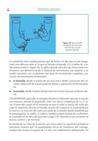 PODOLOGÍA GERIÁTRICA96
La realidad es más compleja puesto que, de hecho, los dos ejes no son ortogo-
nales sino oblicuos entre sí, lo que ha llevado a Kapandji [13] a hablar de «car-
dán heterocinético» (figura 19). La oblicuidad de estos dos ejes tiene como con-
secuencia una disminución de la libertad de movimientos con respecto a un
cardán mecánico: así, se permiten dos tipos de movimientos complejos, aso-
ciación de movimientos elementales:
I la inversión, donde la planta del pie mira hacia dentro (varización del cal-
cáneo, abducción de la parte posterior del pie y supinación) en flexión plan-
tar,
I la eversión, donde la planta del pie mira hacia fuera (inverso) en flexión dor-
sal.
LAS TENSIONES aplicadas al astrágalo durante las diferentes fases de la marcha
son enormes: durante la propulsión, sufre una fuerza compresiva de 4 a 5 ve-
ces el peso del cuerpo en el momento en que el talón se separa del suelo du-
rante la impulsión; durante el frenado, el peso del cuerpo se ve aumentado por
la inercia y la reacción del suelo (una parte de la presión queda absorbida por
la subastragalina, la rodilla, la cadera); también existen fuerzas de cizallamien-
to estimadas en un 80% del peso del cuerpo [19]. Durante la fase oscilante las
fuerzas vuelven a ser mínimas.
El estudio de las cifras de la presión que reina sobre las superficies portadoras
articulares muestra que las posibilidades físicas de resistencia del cartílago,
aunque éste alcanza un grosor de 1,5 mm, son ampliamente sobrepasadas. En
Figura 18: Movimientos
complejos de inversión-
eversión de la parte
posterior del pie.
INVERSIÓN
SUP.
AD.
F.P.
PRO.
A.B.
F.D.
EVERSIÓN
Podología geriátrica 001-382 3/8/07 10:20 Página 96
 