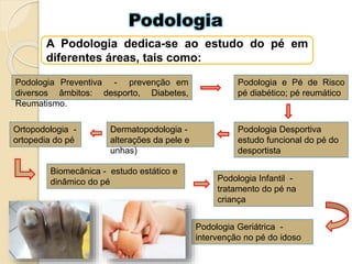 Podologia
A Podologia dedica-se ao estudo do pé em
diferentes áreas, tais como:
Dermatopodologia -
alterações da pele e
unhas)
Ortopodologia -
ortopedia do pé
Podologia Geriátrica -
intervenção no pé do idoso
Podologia Preventiva - prevenção em
diversos âmbitos: desporto, Diabetes,
Reumatismo.
Biomecânica - estudo estático e
dinâmico do pé Podologia Infantil -
tratamento do pé na
criança
Podologia Desportiva
estudo funcional do pé do
desportista
Podologia e Pé de Risco
pé diabético; pé reumático
 