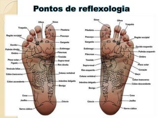 Pontos de reflexologia
 