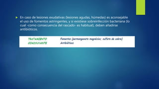  En caso de lesiones exudativas (lesiones agudas, húmedas) es aconsejable
el uso de fomentos astringentes, y si existiese sobreinfección bacteriana (lo
cual -como consecuencia del rascado- es habitual), deben añadirse
antibióticos.
 