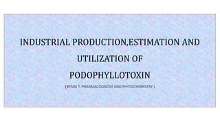 INDUSTRIAL PRODUCTION,ESTIMATION AND
UTILIZATION OF
PODOPHYLLOTOXIN
(BP504 T. PHARMACOGNOSY AND PHYTOCHEMISTRY )
 