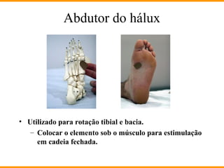 Abdutor do hálux
• Utilizado para rotação tibial e bacia.
– Colocar o elemento sob o músculo para estimulação
em cadeia fechada.
 