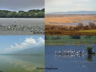 Озеро Керкини
Дельта реки Лоудиас
 