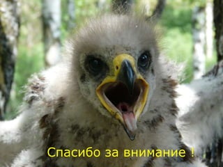 Спасибо за внимание !
 