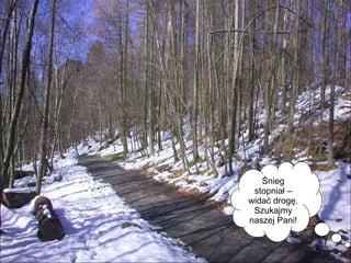 Śnieg stopniał – widać drogę. Szukajmy naszej Pani! 