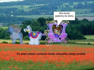 Po wielu latach szukania konie odnalazły swoją wróżkę Wio koniki pędzimy do domu 