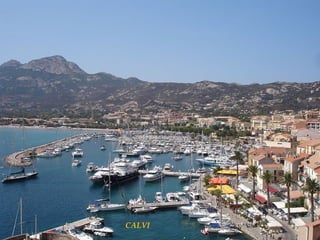 CALVI

 