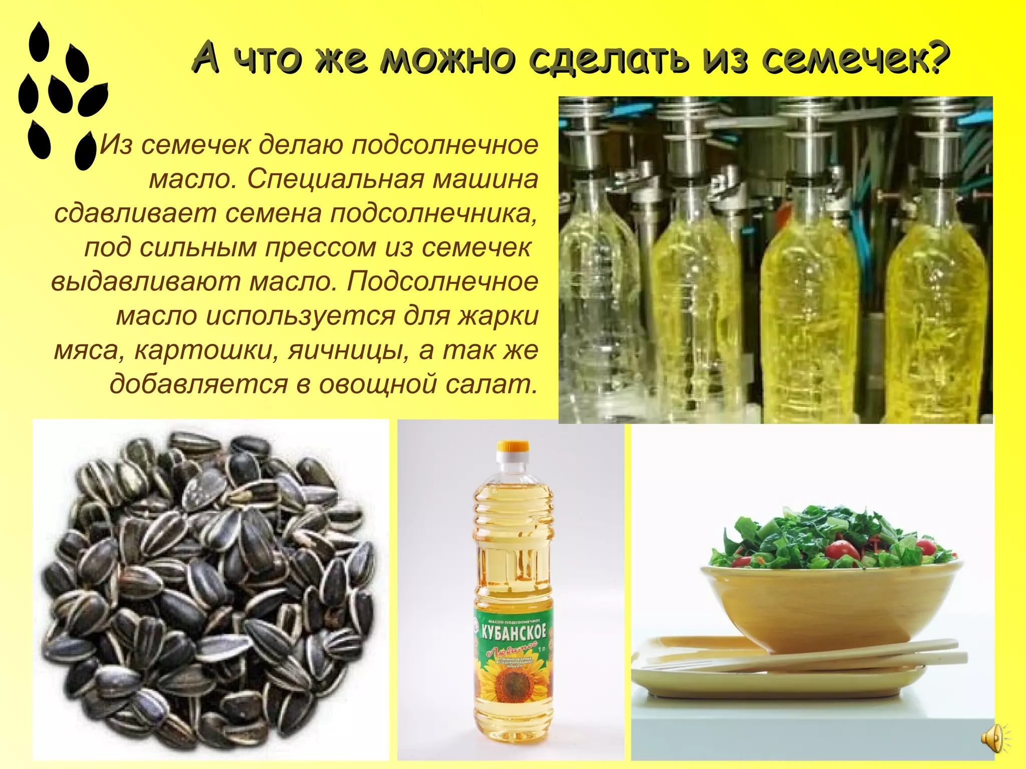 А что же можно сделать из семечек?
   Из семечек делаю подсолнечное
       масло. Специальная машина
сдавливает семена подсолнечника,
  под сильным прессом из семечек
выдавливают масло. Подсолнечное
    масло используется для жарки
мяса, картошки, яичницы, а так же
    добавляется в овощной салат.
 