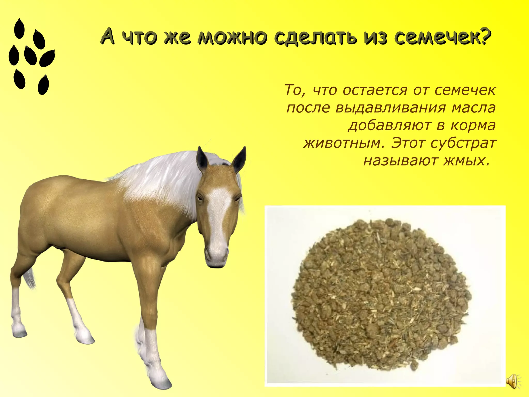 А что же можно сделать из семечек?

               То, что остается от семечек
               после выдавливания масла
                        добавляют в корма
                 животным. Этот субстрат
                          называют жмых.
 