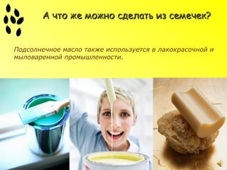 А что же можно сделать из семечек?


Подсолнечное масло также используется в лакокрасочной и
мыловаренной промышленности.
 