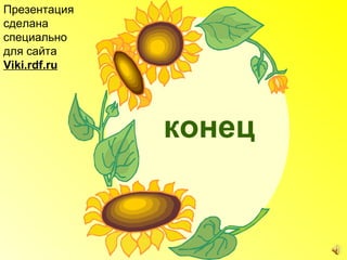 Презентация
сделана
специально
для сайта
Viki.rdf.ru




              конец
 