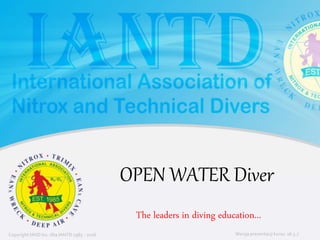 Podstawowy kurs nurkowy OWD – prezentacja IANTD