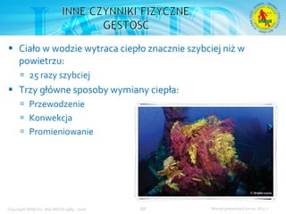 Podstawowy kurs nurkowy OWD – prezentacja IANTD