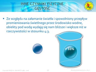 Podstawowy kurs nurkowy OWD – prezentacja IANTD