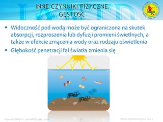 Podstawowy kurs nurkowy OWD – prezentacja IANTD