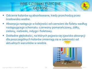 Podstawowy kurs nurkowy OWD – prezentacja IANTD