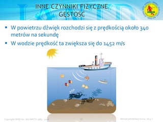 Podstawowy kurs nurkowy OWD – prezentacja IANTD