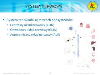 Podstawowy kurs nurkowy OWD – prezentacja IANTD