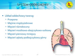 Podstawowy kurs nurkowy OWD – prezentacja IANTD