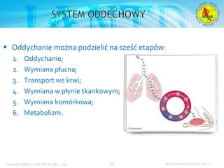 Podstawowy kurs nurkowy OWD – prezentacja IANTD