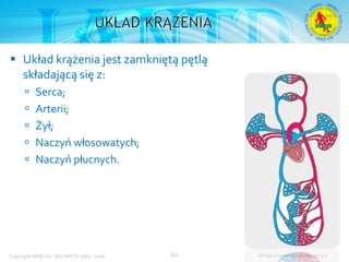 Podstawowy kurs nurkowy OWD – prezentacja IANTD