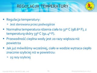 Podstawowy kurs nurkowy OWD – prezentacja IANTD