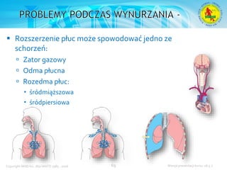 Podstawowy kurs nurkowy OWD – prezentacja IANTD