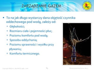 Podstawowy kurs nurkowy OWD – prezentacja IANTD