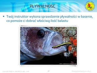 Podstawowy kurs nurkowy OWD – prezentacja IANTD