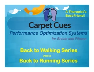 Carpet Cues Product Overview