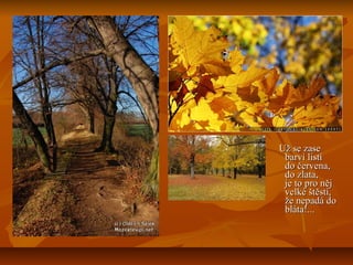 Už se zaseUž se zase
barví listíbarví listí
do červena,do červena,
do zlata,do zlata,
je to pro nějje to pro něj
velké štěstí,velké štěstí,
že nepadá dože nepadá do
bláta!...bláta!...
 