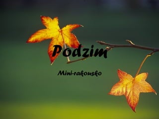 Podzim
Mini-rakousko
 