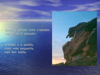 Cando  a  gaivota  visita  ó  labrador, mal  lle  vai  ó   pescador. A  muller  e  a  sardiña, canto  máis  pequeniña, máis  ben  feitiña. 
