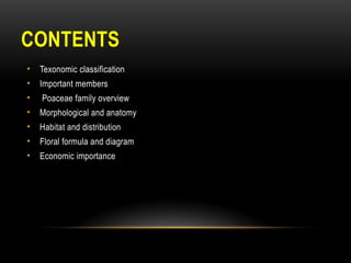 CONTENTS
• Texonomic classification
• Important members
• Poaceae family overview
• Morphological and anatomy
• Habitat and distribution
• Floral formula and diagram
• Economic importance
 