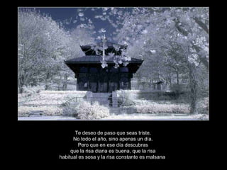 Te deseo de paso que seas triste. No todo el año, sino apenas un día. Pero que en ese día descubras que la risa diaria es buena, que la risa habitual es sosa y la risa constante es malsana . 