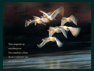 Não importa se encabeçavas Ou concluís a lista. Se és o número um ou número final. 