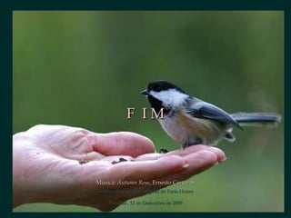 Música:  Autumn Rose , Ernesto Cortázar F  I M Concepção e criação original de Faria Nunes Funchal , 12 de Dezembro de 2009 